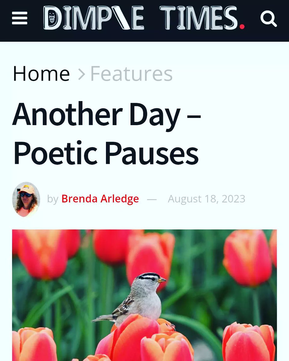 aug10cj's tweet photo. Thank you to Jim &amp; the team at @dimpletimes
For publishing this poem.

https://t.co/zYoEkpJ8rz

#iamwriting #writingcommunity #poetrycommunity #poems #poetry #lifesmoments #thoughts #God #day https://t.co/SSsc9El9i5