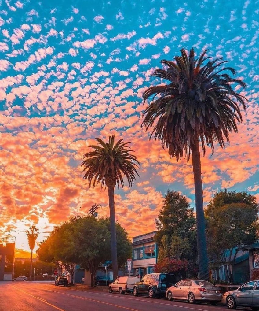 Perhaps, the important thing in life is not which road we take, but whether we have taken steps