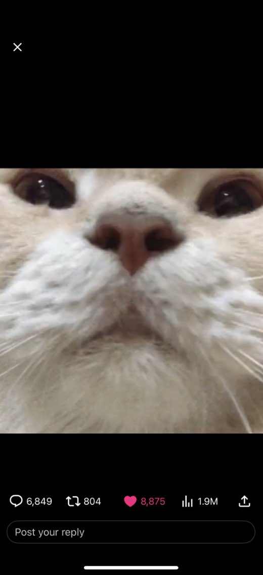 quesobanana's tweet photo. @Crispy go ahead and send that shit my way 😹 https://t.co/BpJZsSxVlw