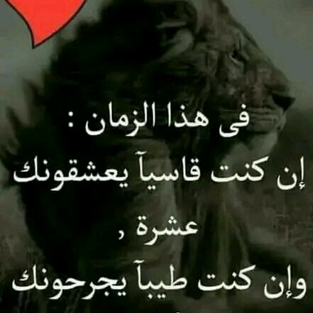 #راقت____لي

@Taiz2775

<a href="/1122Na511/">نيـــاف العضياني</a>
<a href="/12ZZZ22/">دختور🔥🔥</a>
@1EIIB
<a href="/2j3jj/">кℍᵃ𝓁ⓔ𝓓</a>
<a href="/4QQQY/">иσ σиє .</a>
<a href="/U8O___/">𝓐𝓵𝓲 |علي</a>
<a href="/I23x_/">اذكار وادعيه</a>
<a href="/itijx/">P MAN</a>
<a href="/1alny/">✨Aliaa elhinawy✨</a> 
<a href="/0I_4_/">ملك الاحساس اليمني /00305-030</a> 
<a href="/Zia1O/">ℤ𝕚𝕒 ℂ𝕙𝕒𝕦𝕕𝕙𝕒𝕣𝕪</a> 
<a href="/A_aw_8/">Asjad Awan</a> 
<a href="/jeera__07/">جیرا بلیڈ</a> 
<a href="/a3h6m8d5/">اوجـيـن</a> 
@Mariya_dxb 
<a href="/Hanci1962/">Hancı1962</a> 
@mooon555000
@voor21
@ase_r7
@Sabina78621
<a href="/___go22/">PEPE ARMY WHALES 🐳</a>
<a href="/nouraC23/">👑Noura👑</a>