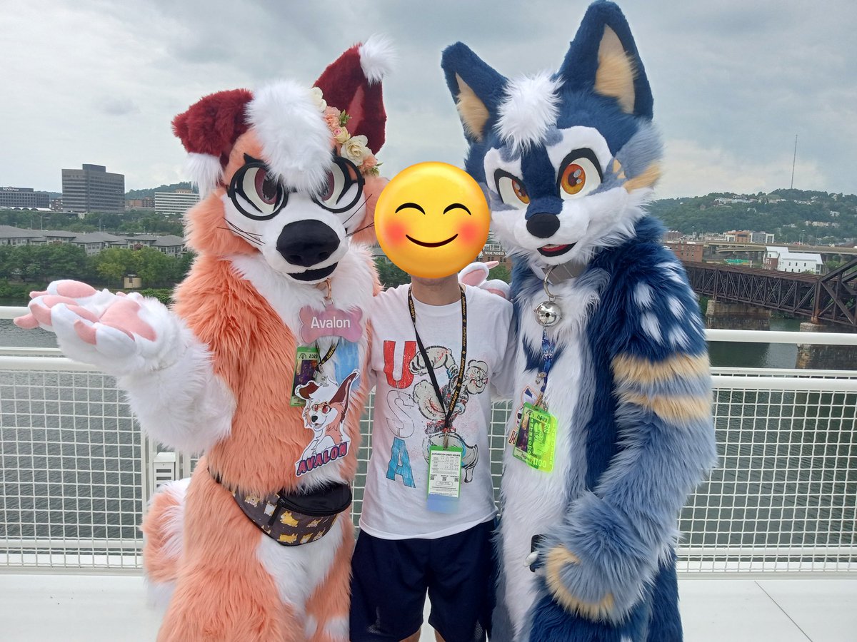 NathanKawaiNeko's tweet photo. #FursuitFriday https://t.co/Rk6XbOHg68