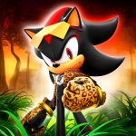 Sonic Speed Simulator Render - Cheetah Shadow by ShadowFriendly on