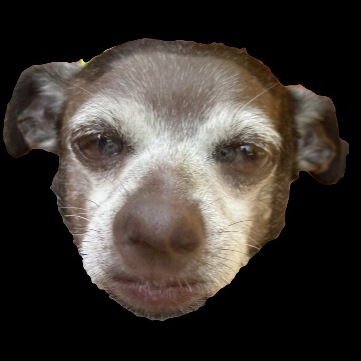 #Humanimal #hybrid #portrait #Eddie #Jax #dedicated #to #Luigi