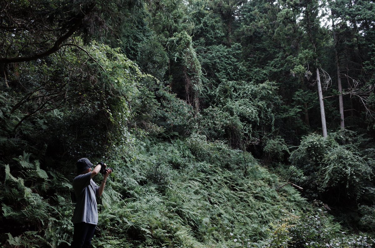 ARTiX3_JCA's tweet photo. JCA ART CAMP 
三島由紀夫作『潮騒』の舞台へ
レジデンス型フォトワークショップ
伊勢志摩国立公園「鳥羽・神島」を巡る

【Day 1】熊野古道散策

#jcaartcamp #三重県 #多気町 #三島由紀夫 #潮騒 #伊勢志摩 https://t.co/BKA0R701KJ