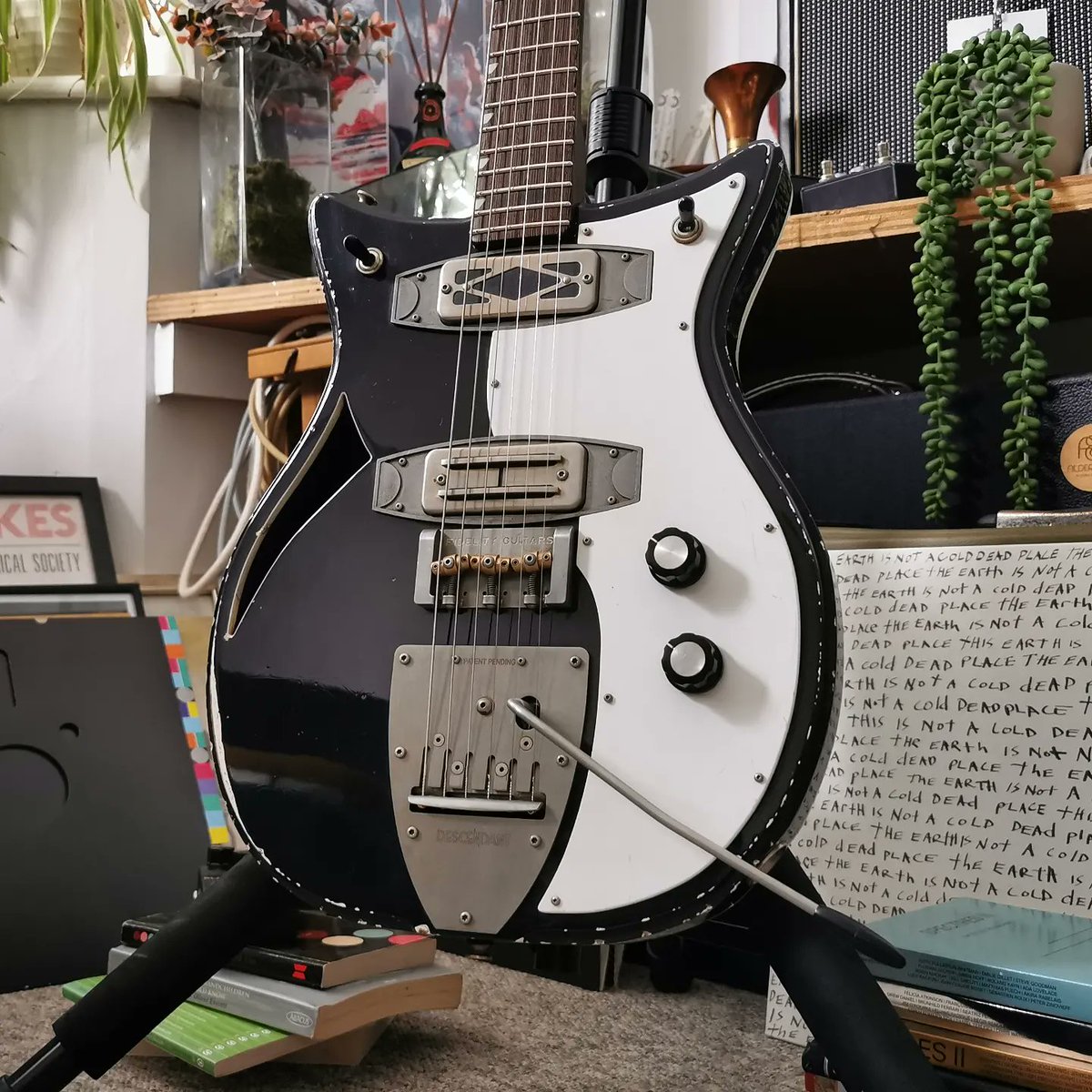 Fidelity Guitars tweet media