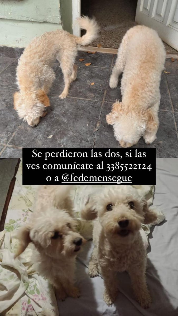 FedeeMensegue's tweet photo. Por favor 🙏😔 https://t.co/cLH28JoZsm