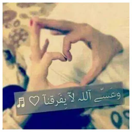 ليزا tweet media