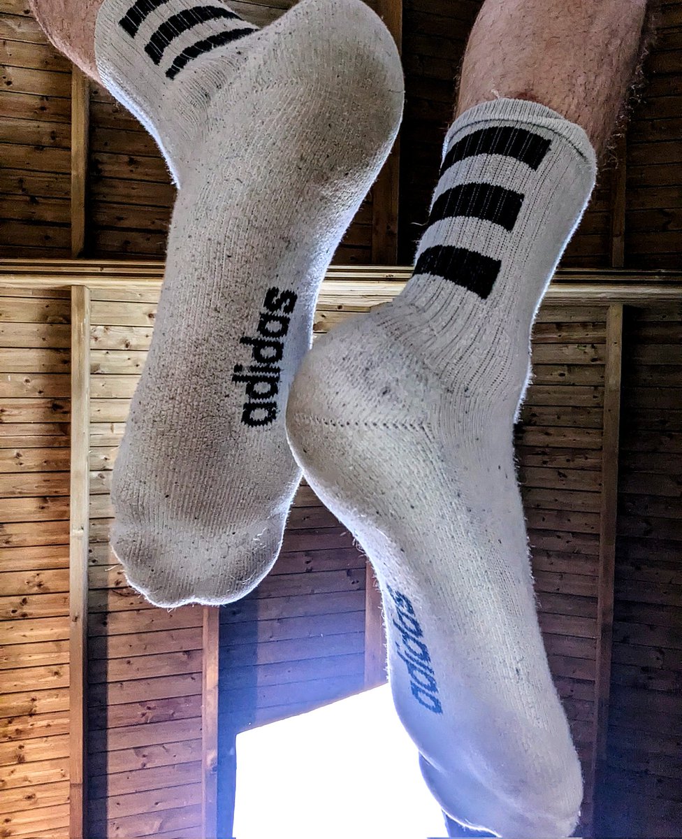 Sir Dandy tweet media