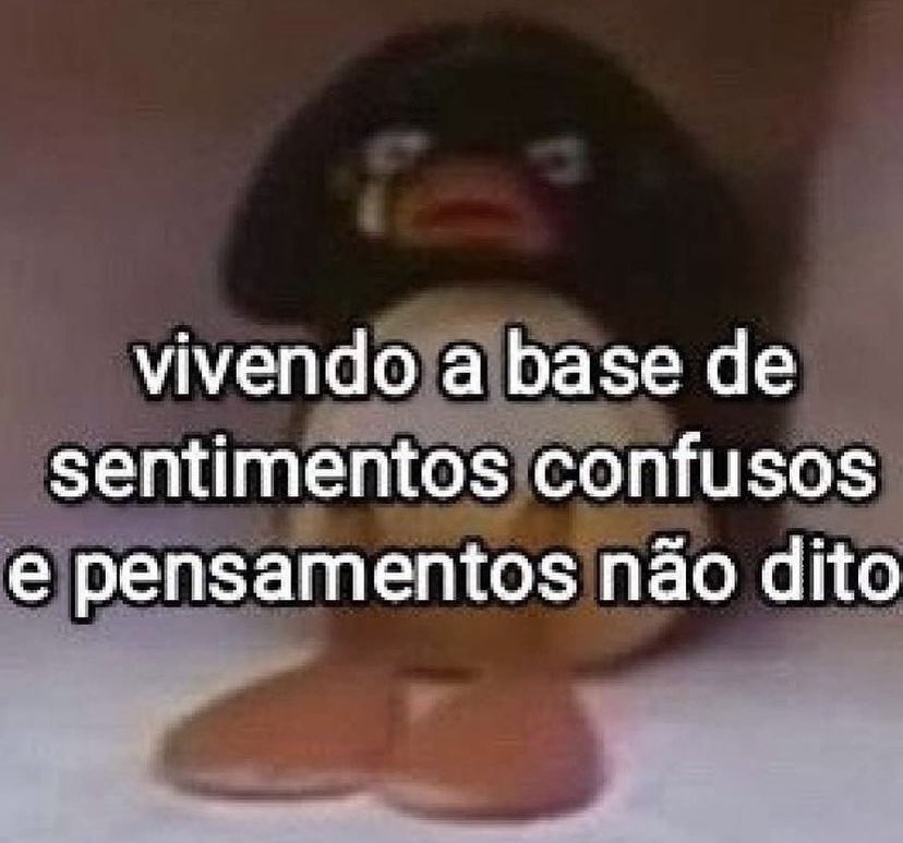 PEDRAO (@itspedrito) on Twitter photo 