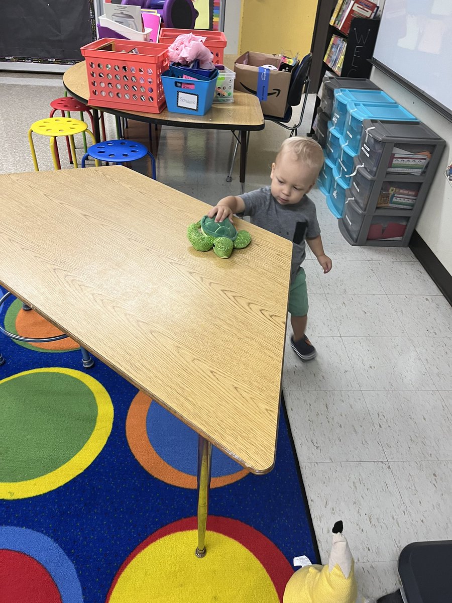 Colleen Phillips tweet media