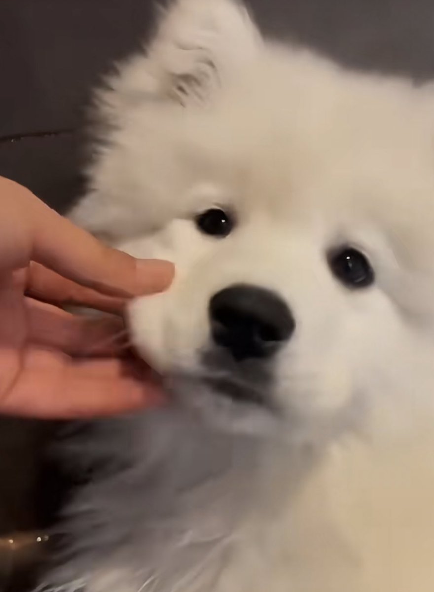 ตรงนี้หอมด้าย