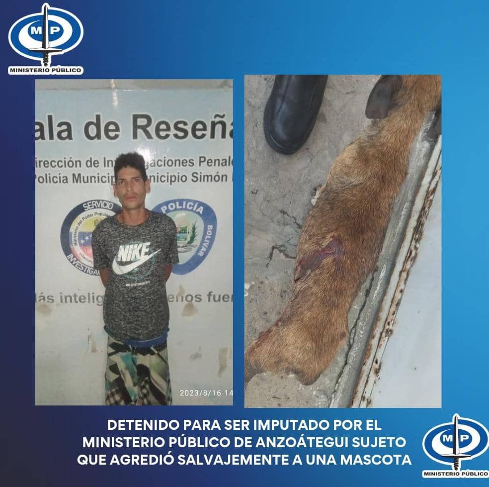#AHORA #Detenido para ser  #Imputado por el <a href="/MinpublicoVEN/">Ministerio Público venezolano</a> de #Anzoátegui: el sujeto Adrián Barrolleta, por el Delito de Daño a Animal Ajeno, Prohibición de Hacerse Justicia por Mano Propia y Maltrato Animal: dicho salvaje le ocasionó una herida a una mascota doméstica (perro)