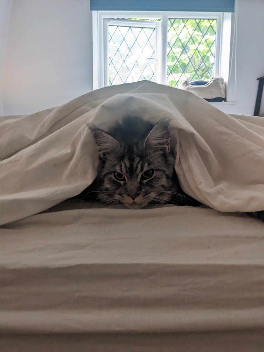 Alexia Christofi tweet media