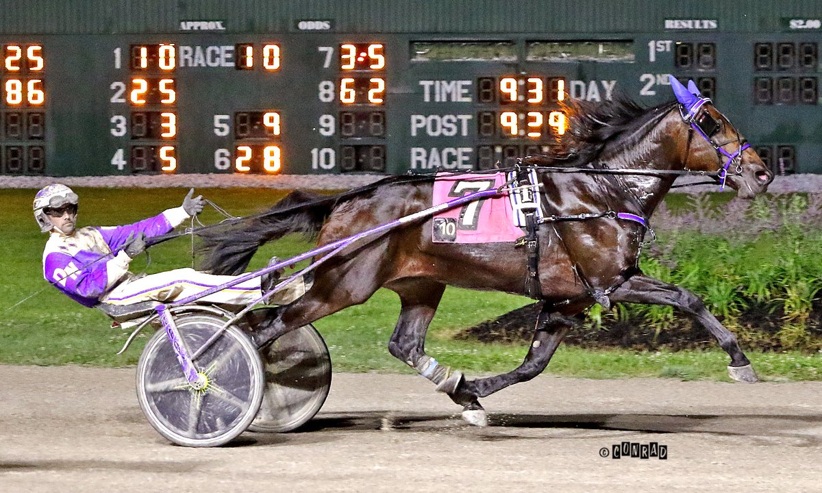 HarnessRacingOH's tweet photo. For the second time in a week, Dan Noble recorded two wins in Buckeye Stallion Series action. Sunday Noble recorded two wins at @NfldPark , Thursday night at 
@EldoradoScioto  Noble won two of the five $20K  races for 2YO colt trotters.  He won with Tom Swifty and No Nap Nash https://t.co/j3WzWw4ayS