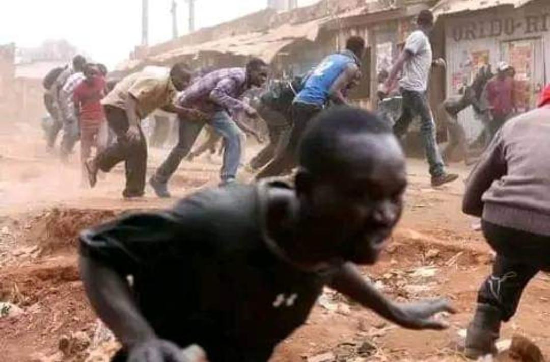 Brother's Shoe Plug tweet media