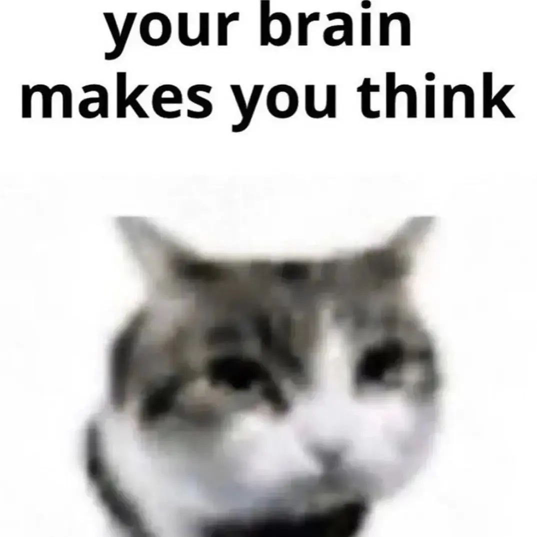 catpicsdealer's tweet image. 