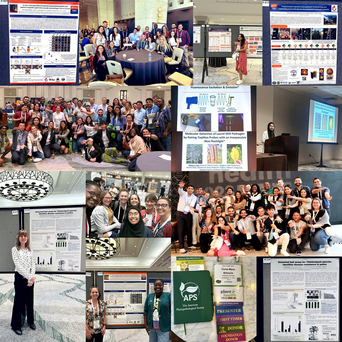 UF/IFAS Plant Pathology Department (@ufplantpath) on Twitter photo Thanks to the many UF Plant Pathology faculty, students and alums in Denver this week for sharing their experiences at #PlantHealth2023, the annual meeting of the American Phytopathological Society. <a href="/plantdisease/">The American Phytopathological Society</a> Thanks to the many UF Plant Pathology faculty, students and alums in Denver this week for sharing their experiences at #PlantHealth2023, the annual meeting of the American Phytopathological Society. <a href="/plantdisease/">The American Phytopathological Society</a>