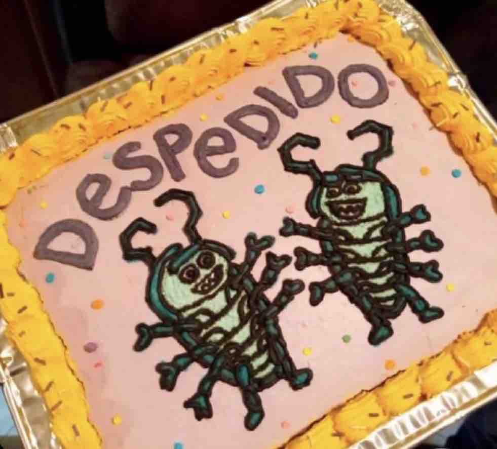 Guarromantico_'s tweet photo. Cuando el de Recursos Humanos tiene corazón de pollo y debe dar bajas 😅 https://t.co/0ayK7xXuD2