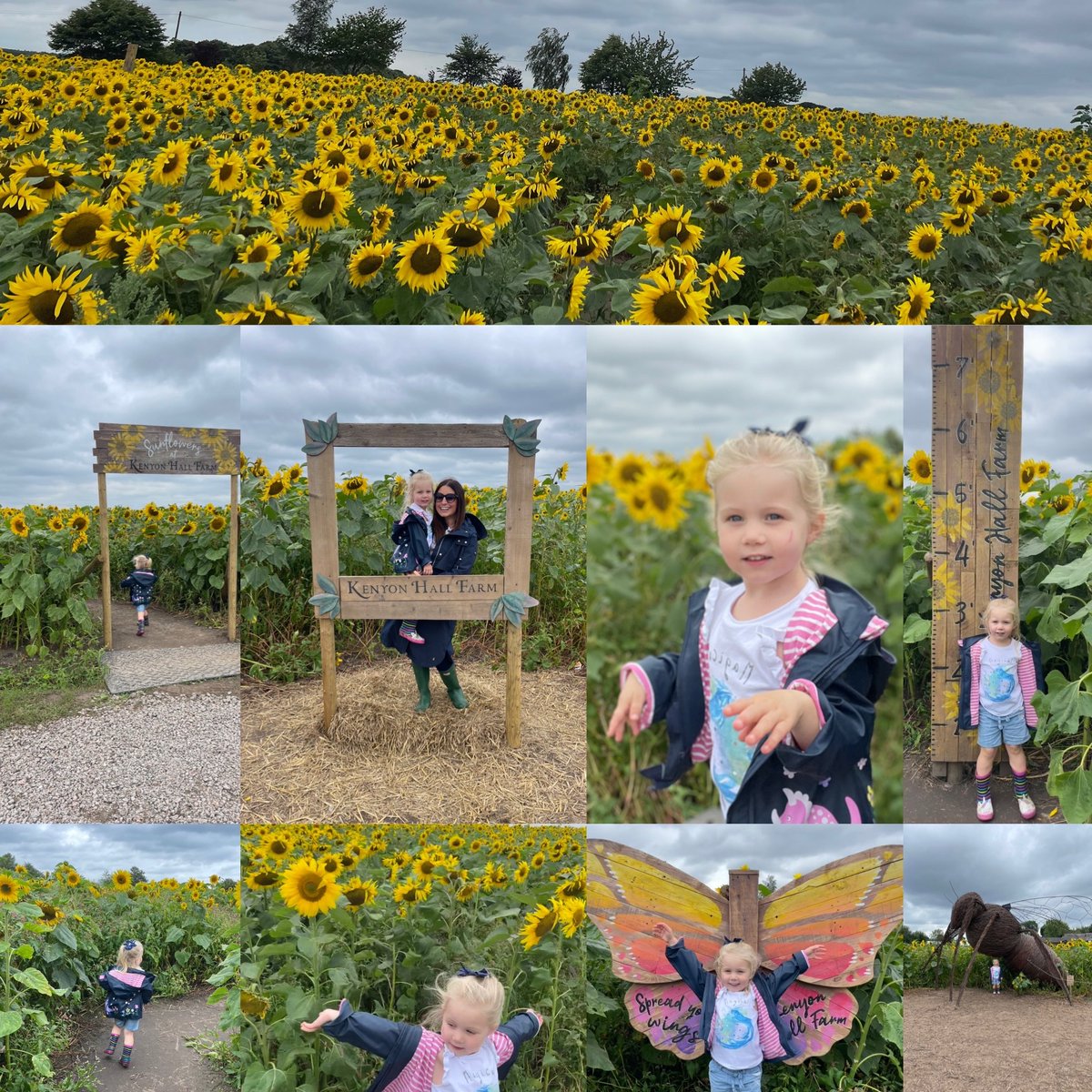 Jayne King tweet media