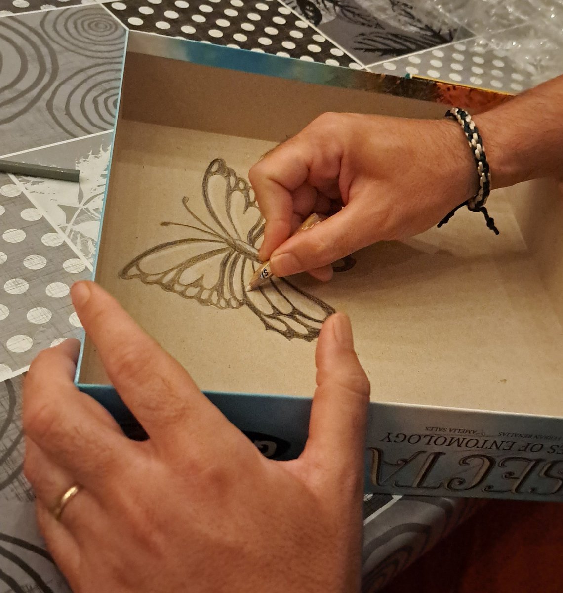 eugenicastano's tweet photo. #Dedicando un #InsectaTheLadiesOfEntomology Ahora solo faltan las de mis compis @FerranRenalias @AmeliaSalesArt https://t.co/Vw3dDLcB65