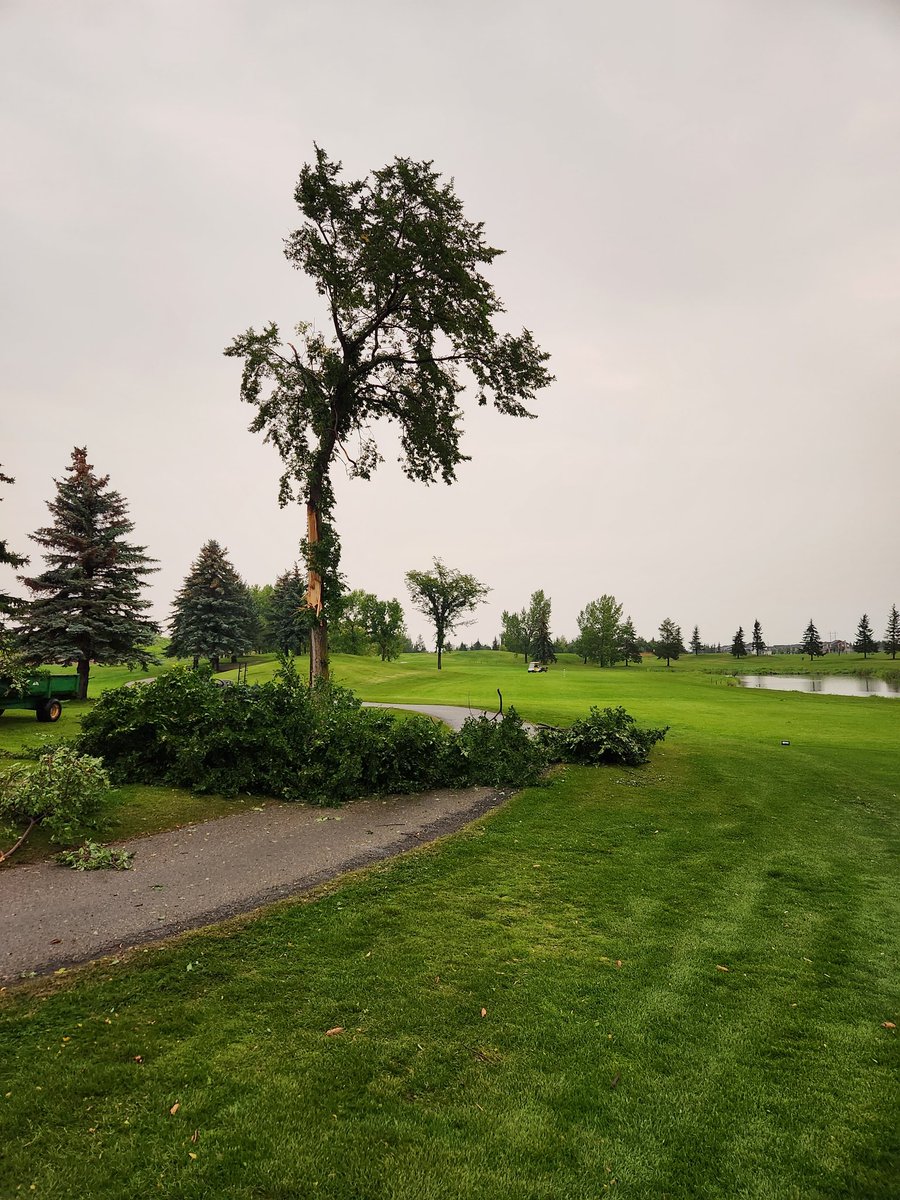ArgueCameron's tweet photo. Course was crushed last night! @Coloniale_GC 
Crew worked hard today clearing debris and pumping water! Course will reopen tomorrow! 
Have a good weekend everyone! https://t.co/WwRE250frf