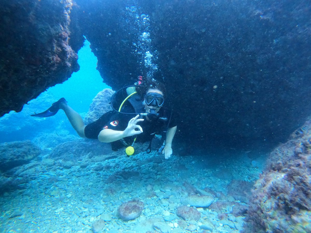 Wendy Randall (@hopkirk1) on Twitter photo 