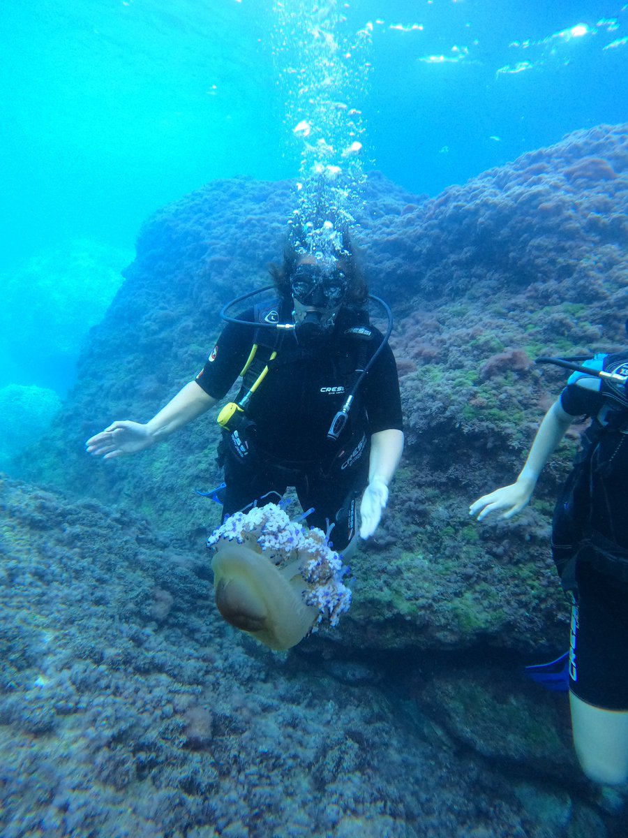 Wendy Randall tweet media