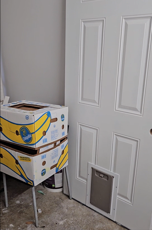 VarietyIzz's tweet photo. Basement and Garage Renovation Project Update #26 🛀 https://t.co/1jGFp764IO
#bathroom #showerdoors #renovation #basementrenovation #heater #installed  #baseboard #reno #flooring #window #smallspaceliving
Welcome to the twenty-sixth update of my Basement and Garage Renovation Project! As we near the completion of this exciting journey, I'm thrilled to bring you a smaller yet significant update. Join me as we explore the progress made in the garage suite, where the finishing touches have come together beautifully. From the completed flooring/painting to the fixed heaters and installed baseboards, as well as the addition of a new window and a glass shower door, this update offers a glimpse of the stunning transformation that awaits. Let's dive in and savor these final steps before the grand reveal! 🏠🪟🚿

🎨 We begin our tour in the garage suite, where the painting process is now a thing of the past.  

🔥 The heaters, an essential component of comfort, have been expertly fixed to the walls.  

📏 Completing the look, the baseboards have been meticulously installed, adding a polished and refined touch to the room.  

🪟 A new window graces the space, welcoming natural light and offering a delightful view.   

🚿 Stepping into the bathroom, we are greeted by the gleaming presence of a glass shower door.  

🐾 The furry member of the household is not forgotten! I'm excited to share that one of the doggy doors has been installed, providing our four-legged companion with convenient access to the home.  

Share your thoughts and feedback in the comments section below. Your input is invaluable to us. 💬💡  

Like and share this video to inspire others in their renovation endeavors. 🏡💪  

🎥 For more captivating content, check out our channel [https://t.co/YmLwclJFsc], where you'll find a delightful mix of organic discount cooking, entertaining moments, and captivating adventures. Join us as we approach the grand finale of our incredible renovation journey! 🎥