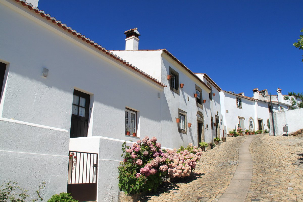 imoporto's tweet photo. Top Affordable Portuguese Home Towns
"Escape the urban hustle! 🏡Discover Portugal's hidden gems where homeownership dreams come true. 🌄Interior towns offer nature, tranquility, and unbeatable prices. https://t.co/Aqx8NWpv3B 🏠🇵🇹
#AffordableLiving #PortugalHomes" #realestate https://t.co/gqaK9nxg83