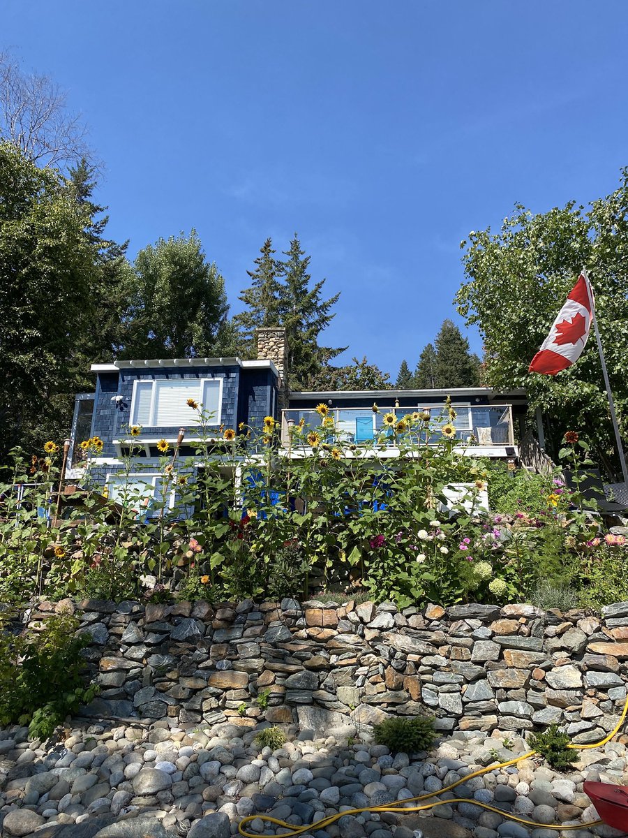 Danika Murray tweet media