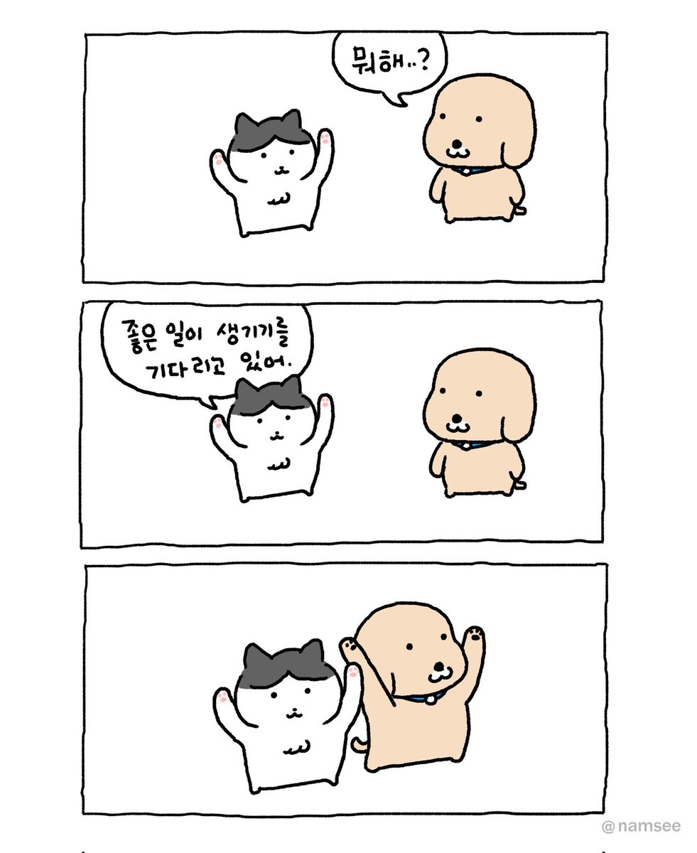 아.부산 또간집 보니까 부산여행 가고 싶다.
바다 투어 하고싶네 🥹