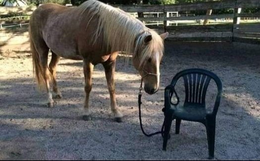 Likhaaaari's tweet image. جب غلامی ذہن میں بیٹھ جائے تو اپنی طاقت کا اندازہ نہیں رہتا