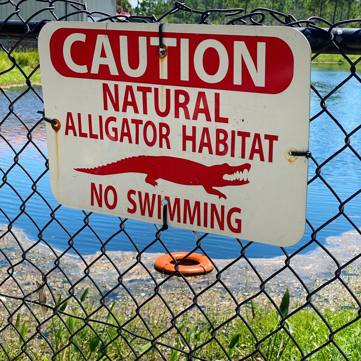 I don’t know how many double-dog-dares this sign has inspired, but apparently enough that they just leave the inner tube there for whenever it happens
