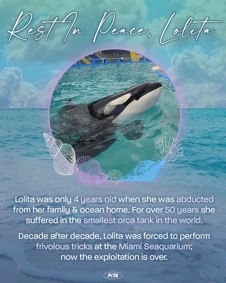 @EuKarolyi We’re so sad to announce that Lolita has died. We wanted to thank you for joining us in the fight for her sanctuary. ❤ We’d love it if you can join us in asking the Seaquarium to continue with plans to send other dolphins to a sanctuary and to urge SeaWorld to retire…