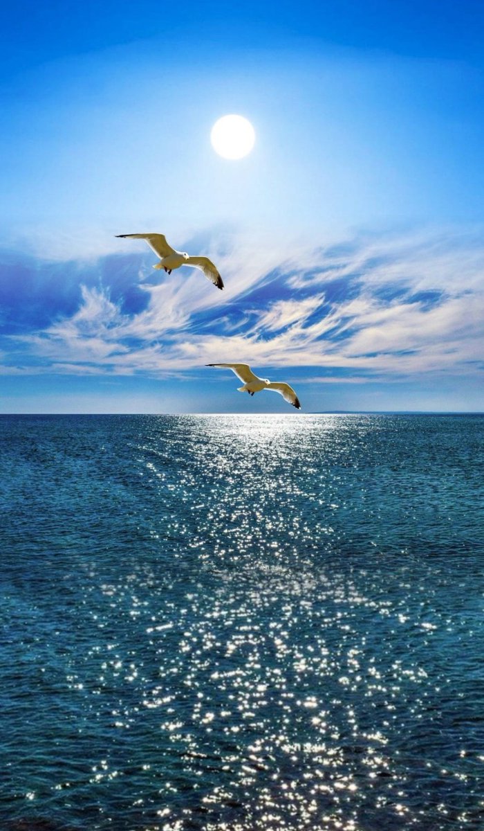 tkb178's tweet photo. With the wind beneath their wings, happiness follows. https://t.co/rNN8k9SYwN