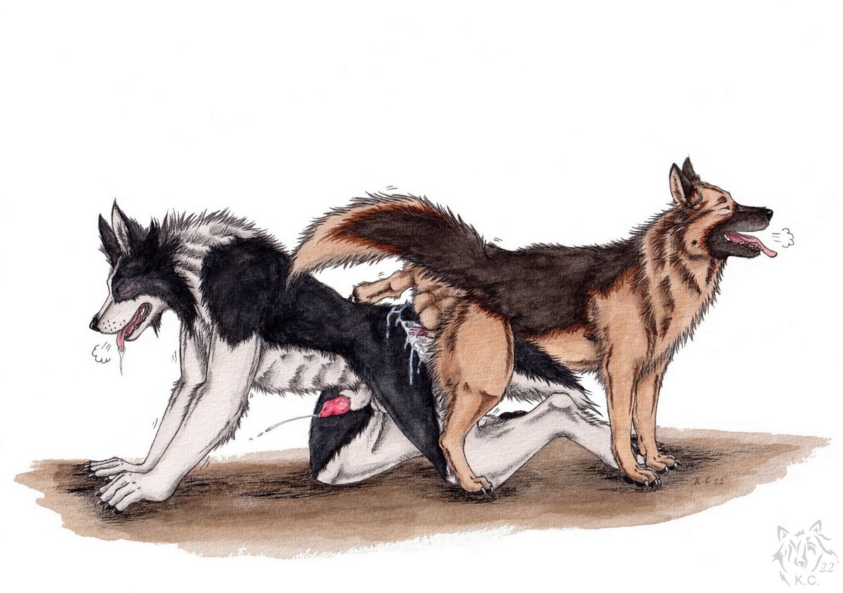 🪢 pull 💄 💦 is ❤️‍🔥

These two boys are inseparable (quite literally) for a while!🥰🫶

furaffinity.net/view/49905585/