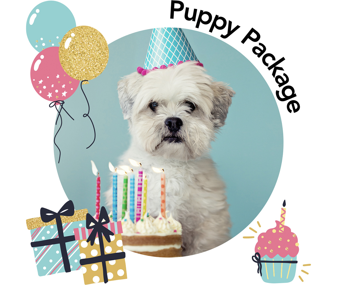 puccicafe's tweet photo. Ready to schedule a Puppy Birthday or Gotcha Day Party at PUCCI?  Check out party our packages here:  https://t.co/WJHAfvVGhY

#puccicafe #lacenterra #pucci #cafepucci #lacenterradogs #lacenterraatcincoranch #lacenterracincoranch #lacenterrakatytx #lacenterracatcincoranch https://t.co/GAHUyF9EiV