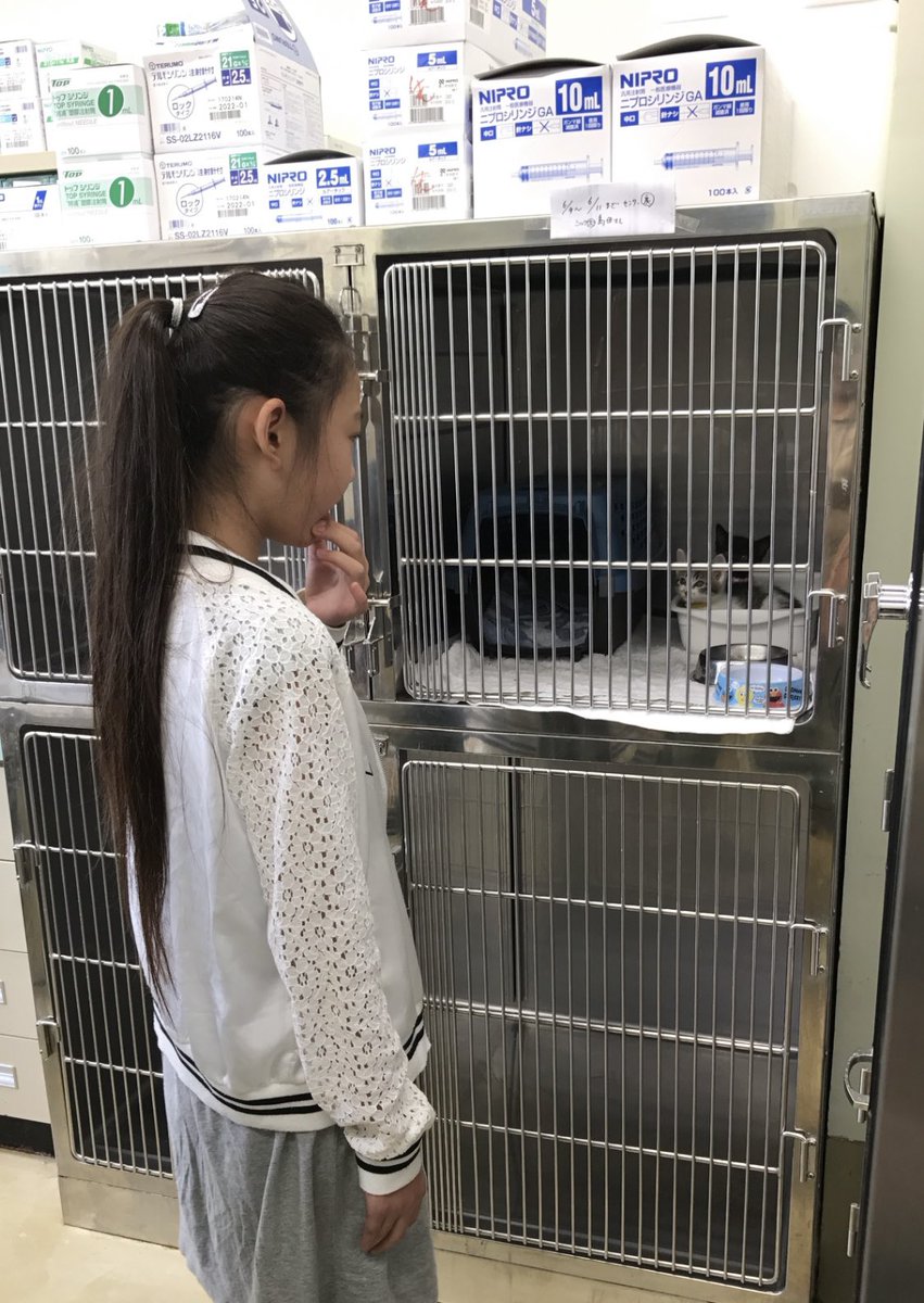 wannyanpeasmail's tweet photo. 2017年に徳島と香川の保健所センターに訪問しました。
香川も殺処分はいまもガス処分です。
もがいたような後もあり、どうにか助けれないかと心が痛みました

迷子の子もいれば人馴れしてない子もいて

https://t.co/ZLJ2UqO9Js
今回の署名を立ち上げて頂き香川の殺処分が少しでもへってほしいのです https://t.co/SLBKQNl8bH