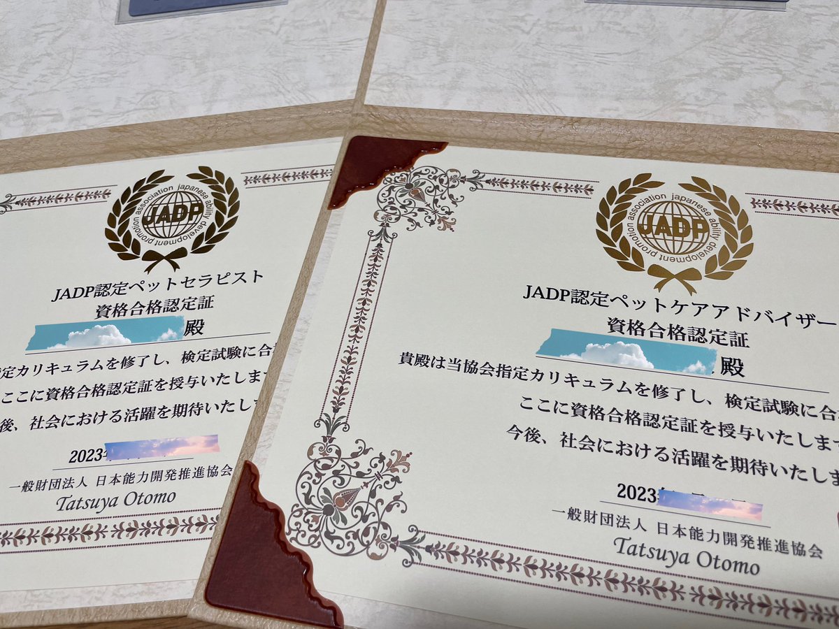 mogumogutabeo's tweet photo. BTSを好きになり約3年…全く知識のない韓国語が必要になりハングル検定を取り、ヨンタンが好きすぎて人生で初めて犬を飼いました。そして今回新たに資格取得しました。彼らを好きになり、人生がどんどん変わっていく！！凄い！！！ https://t.co/koMboAo10h