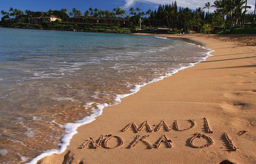 LEI NAHONOAPI'ILANI
PROJECT KULEANA🎶

 #ihearthawaii #Maui #MauiNoKaOi