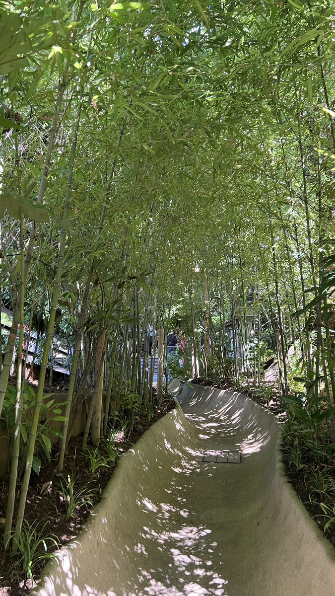 rhgodl__'s tweet photo. 熱海の来宮神社すごく涼しかった
3枚目の木は2100年も生きてるらしくて立派すぎたな https://t.co/SEkBjfWaCs