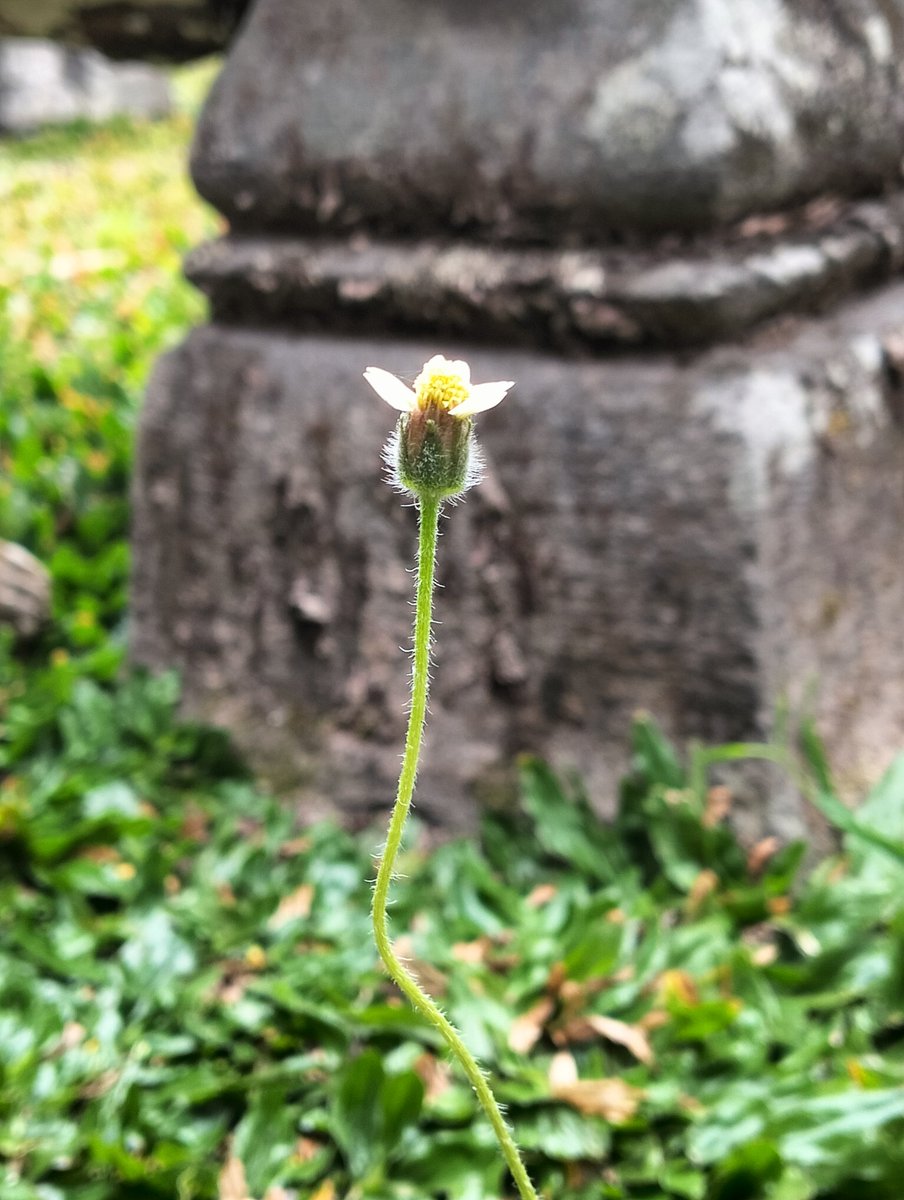 ah_sobari's tweet photo. Bagaimana rindu sehebat ini Kau anggap biasa-biasa saja. https://t.co/Ff1MP1qWZT