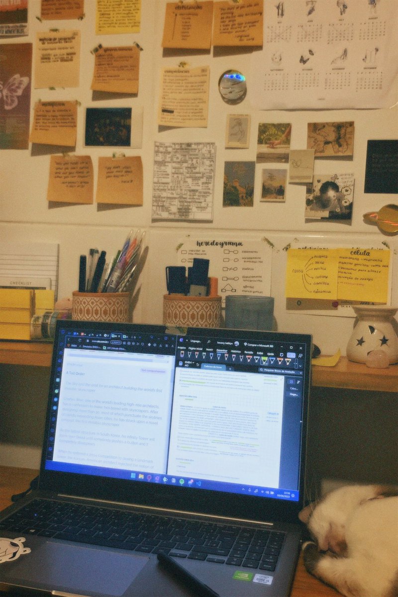 13fvereiro's tweet image. literalmente estude enquanto eles dormem