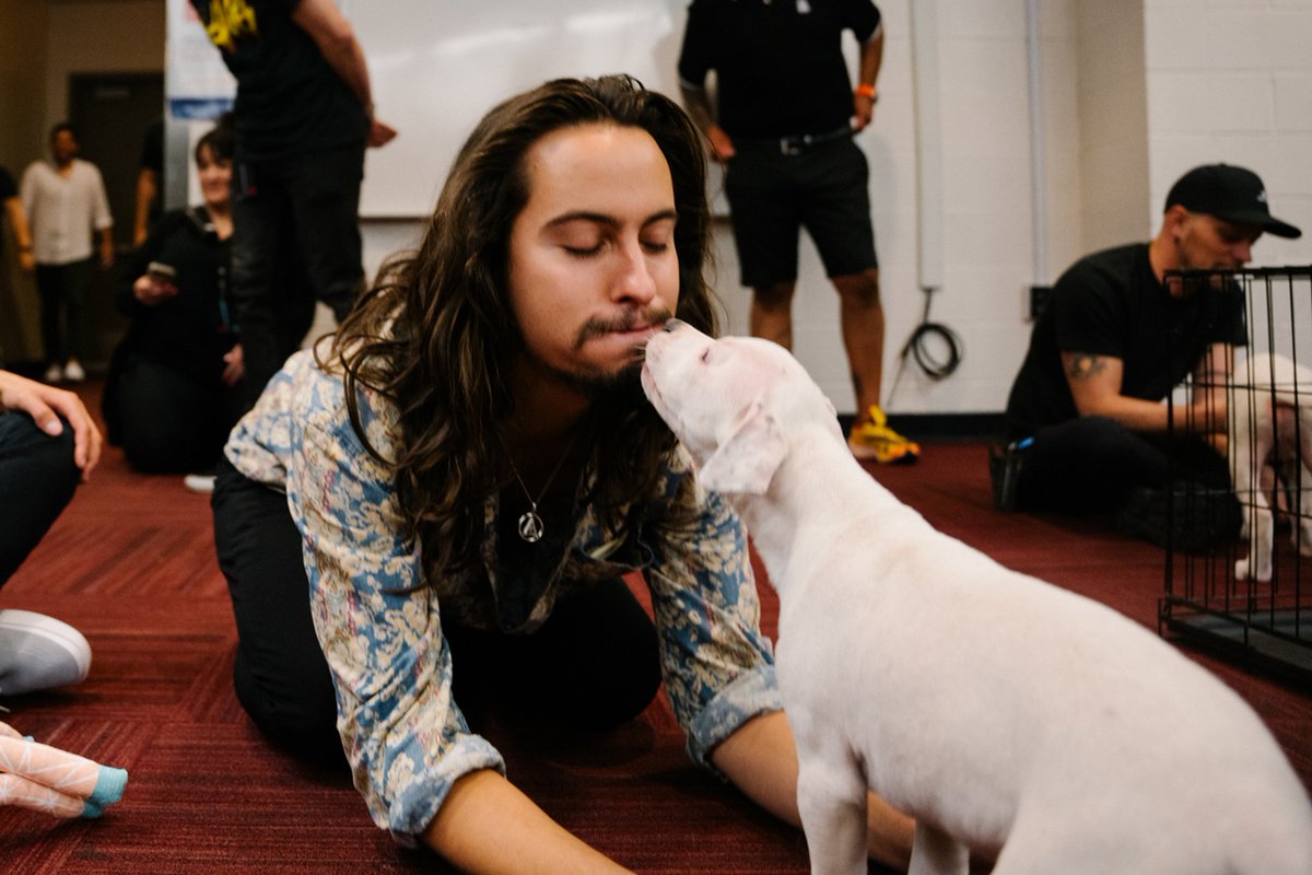 GretaVanFleet's tweet photo. A coupla road dogs. https://t.co/fJ9RAgTBPG