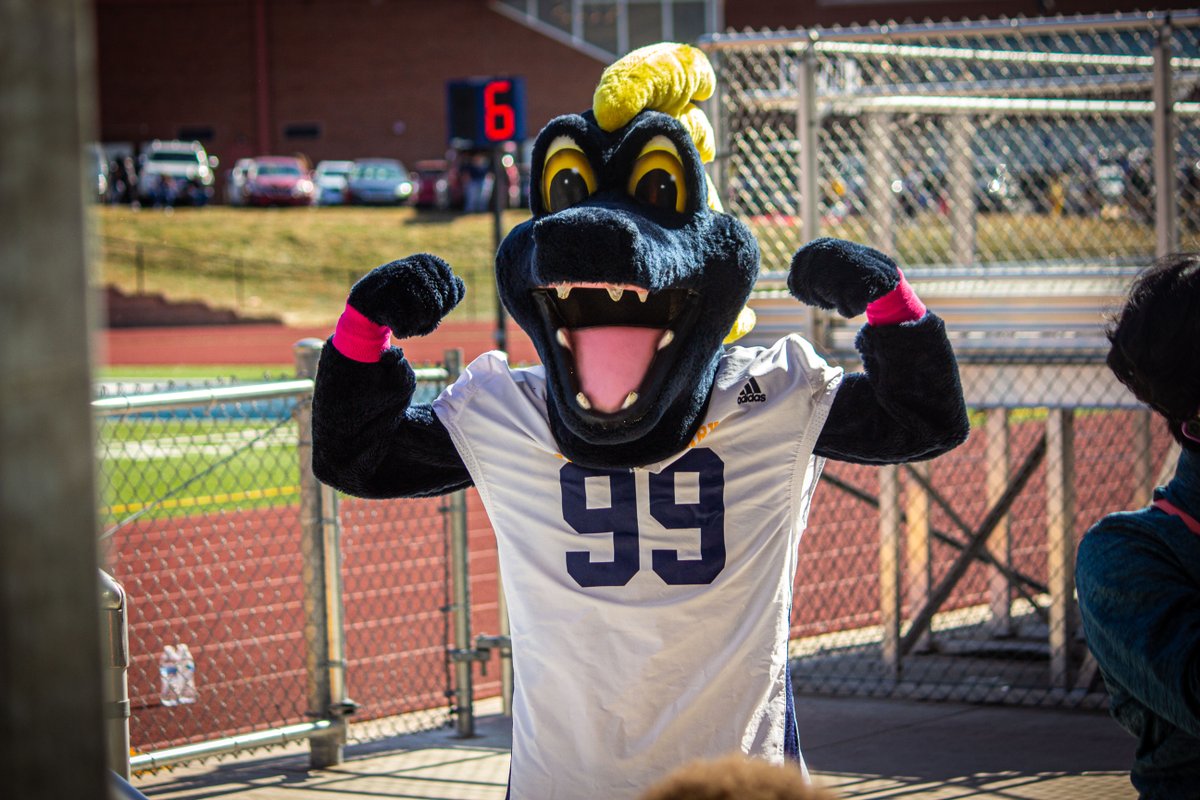 Saint Mary tweet media