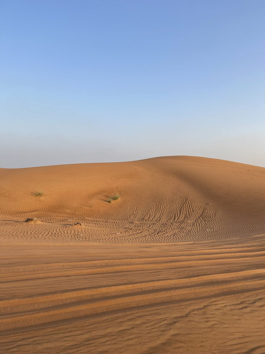 #PhotoDayCDMX <a href="/CollectionsMX/">CollectionsMX</a> 
Red Sand Desert in the UAE🇦🇪