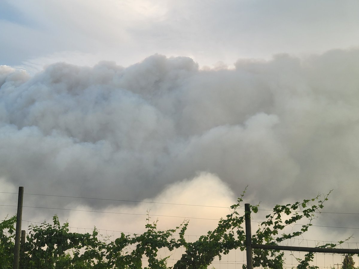 It's really bad out here in Kelowna. I'll be lying if I say I'm not worried. #BCWildfire #kelownafires