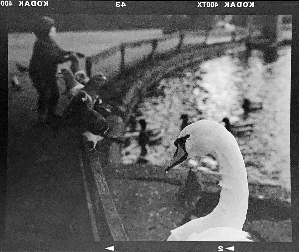 ShawShots's tweet image. #Mediumformat #kodak #streetphoto #landscape #streetphotography #urbanart #urbanphotography  #photography #photographer #fotografia #fujifilm #kodaktrix