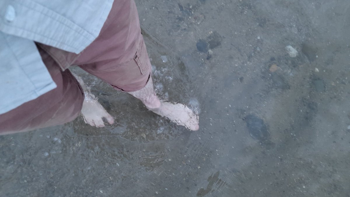 SplitTimes's tweet image. More holiday