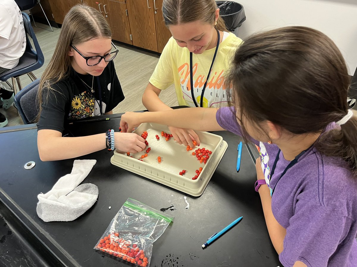 TheMrsFarmer's tweet image. Adv. Biology @HumbleISD_KHS students are exploring what enzymes do in order to explain how and why they work. #ExploreBeforeExplain #ALLstudentsAREscientists #KingwoodALLIN